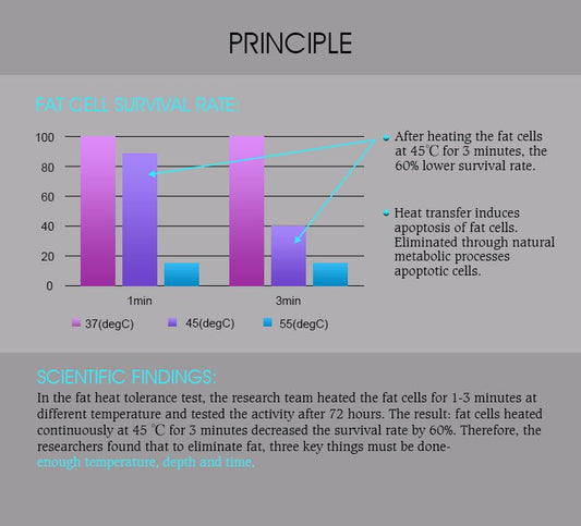 Vertical Radio Frequency Trusculpt RF 2Mhz Heat Fat Dissolving Lose Weight Trufat Body Shaping Machine with 6 Fat Loss Pads - CSTrueBeauty