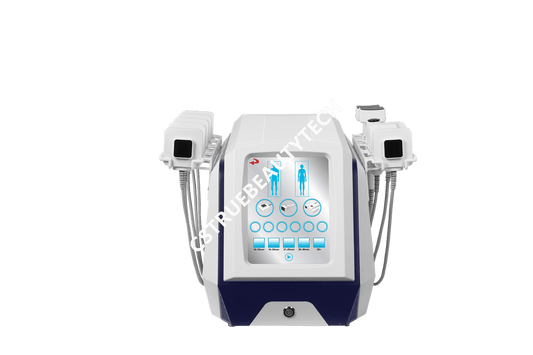 New 10 Handles Hot Sculpting Body Shaping Machine Rf Skin Tightening Machine Jisu Id Fat Dissolving Machine - CSTrueBeauty